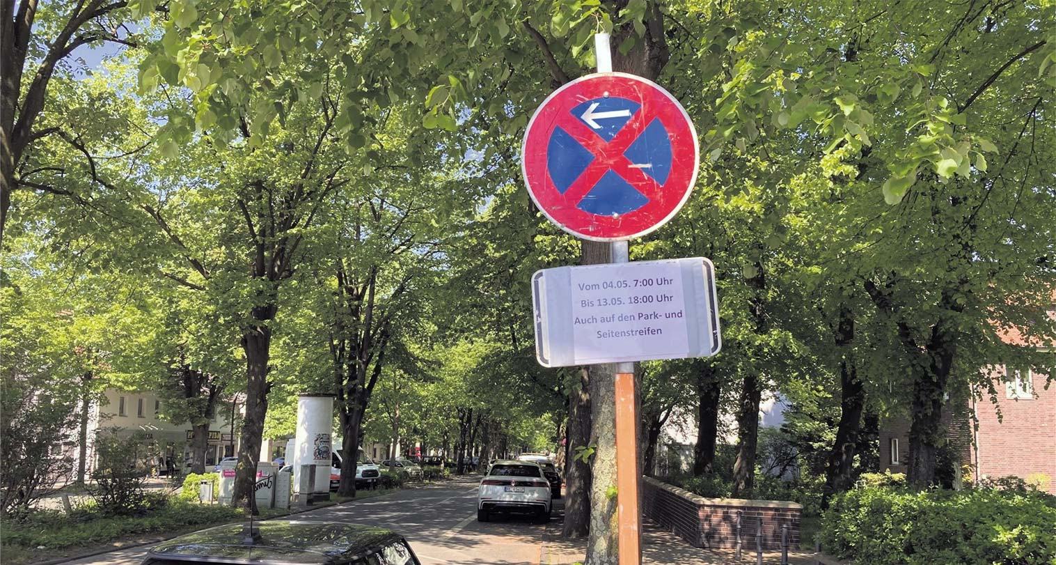 Halteverbotszone in Bonn: Halteverbotsschild mit Pfeil, darunter ein Zusatzschild, das Datum und Uhrzeit nennt, aufgestellt an einer baumgesäumten Straße