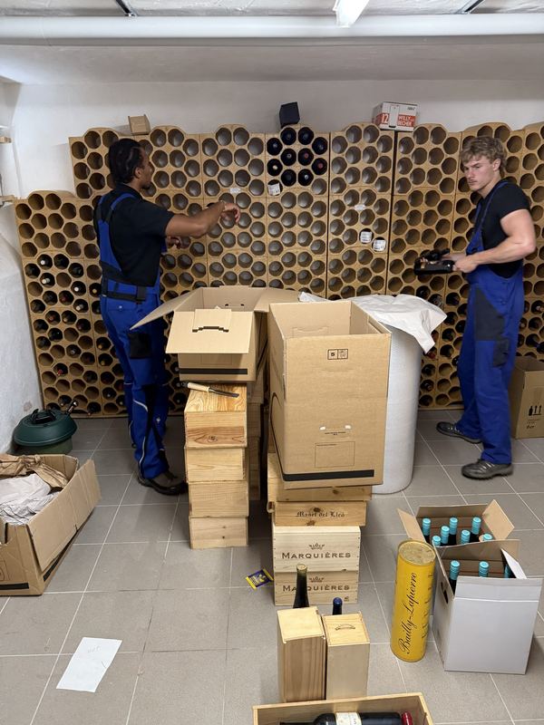 Weinflaschen aus dem Kellerregal in Kisten packen Zwei Kollegen räumen Weinflaschen aus einem Kellerregal aus Tonröhren und verstauen sie in Holzkisten und Kartons